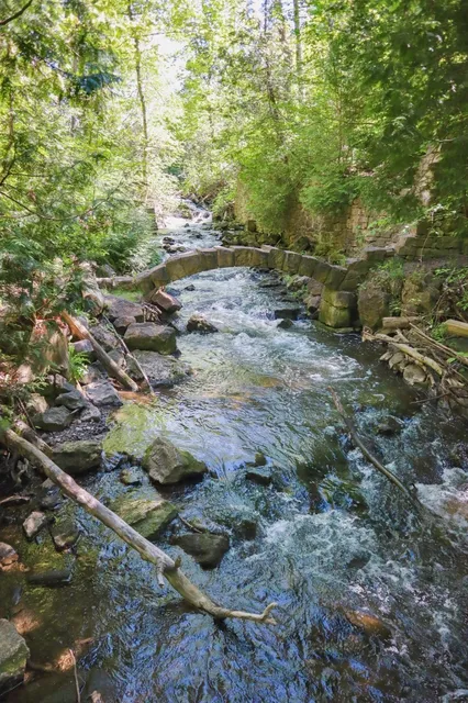 ​​🌲  Toronto's Most Epic Tree-Root Hike with Wooden Ladders!​​