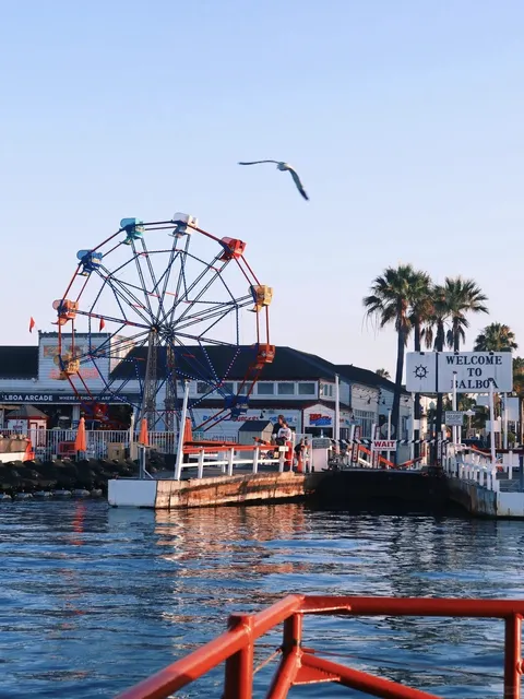 Sunset Plog🧩 Strolling and Stopping – Relaxed Living Feels So Good 🌅