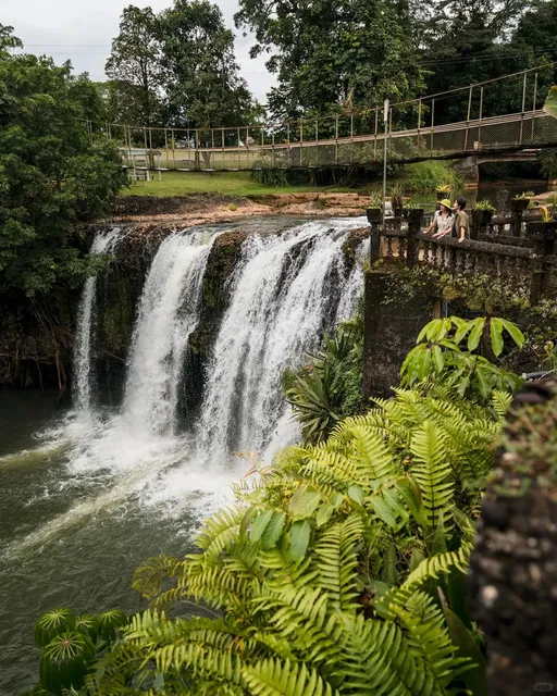 Surrounded by Green | A Healing Day at Australia’s Rainforest Castle 