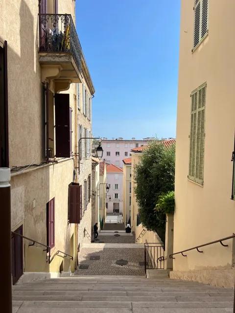 🇫🇷 Cannes Film Festival Ultimate Guide 🎥