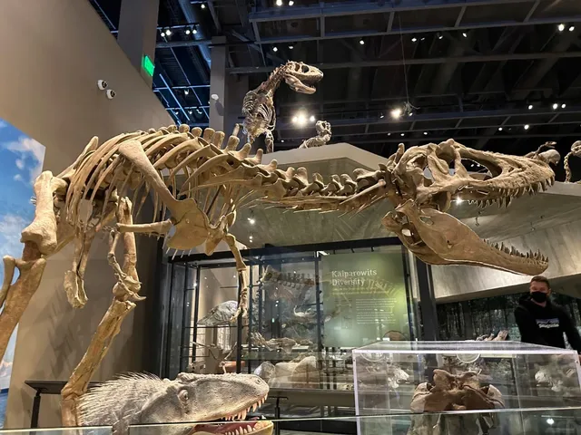Salt Lake City’s Dinosaur Museum 🦕🏛️