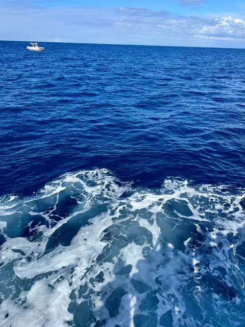 Honolulu 6D5N “Tokyo Escape” Recap 