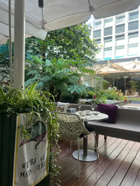 🎩 Mad Hatter Tea – A Wonderfully Whimsical Experience! 🎩