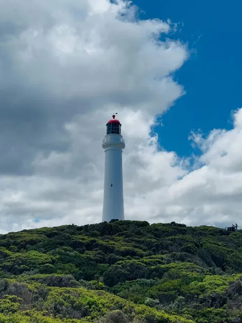 🇦🇺 Great Ocean Road Adventure: 48 Hours of Coastal Magic 🌊✨