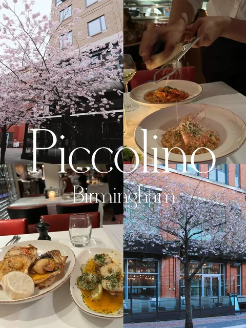 Birmingham 🌸 Sakura Trees and a Hidden Italian Gem