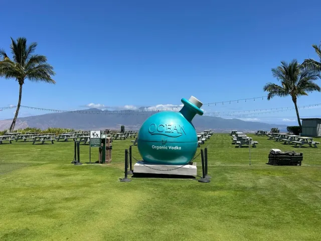 Must visit while in Maui