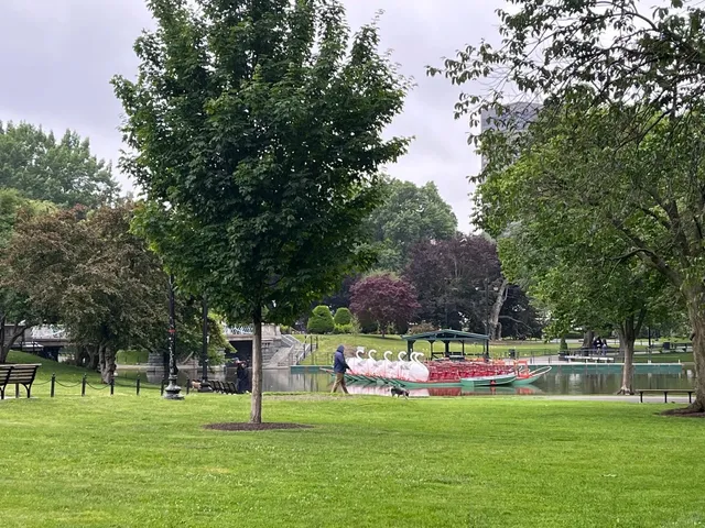 My Trip to Boston 🌆