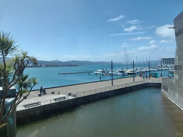 Road Trip to South Island Day 2 + Wellington-Picton Ferry Guide