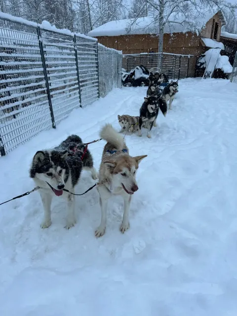 4-Day Speedrun in Fairbanks 