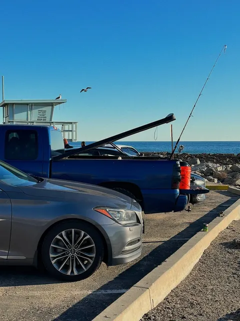Los Angeles Sea Urchin  | White Point Beach