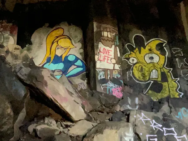 Donner Tunnel Trail @ Donner Lake 🚶♀️🌲