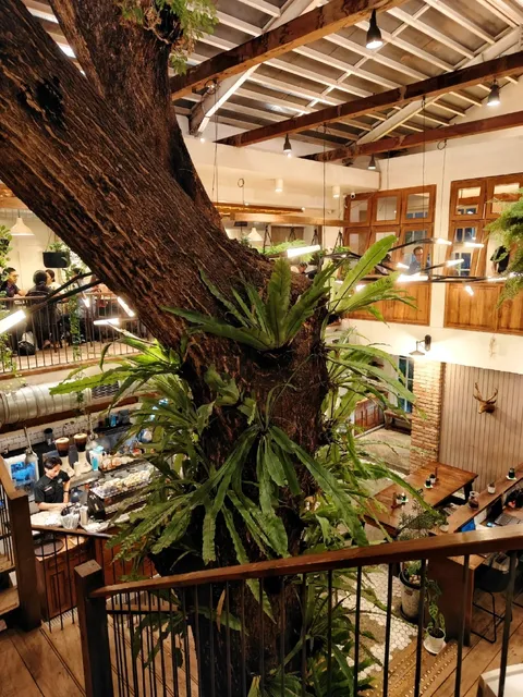 ​​Lucky Cat Coffee - Jakarta's Most Beautiful Green Oasis ☕🌳​​