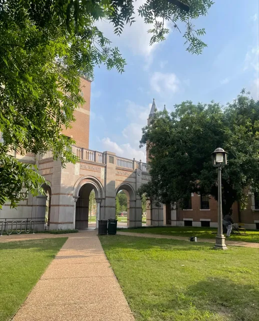 LiveLog | This One Guide Is All You Need for Early Summer in Houston