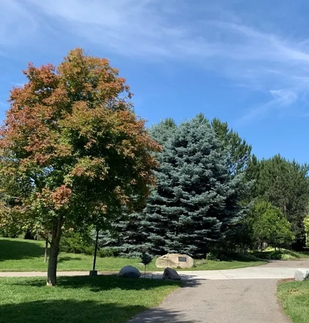 A Mixed Experience of Animal Encounters