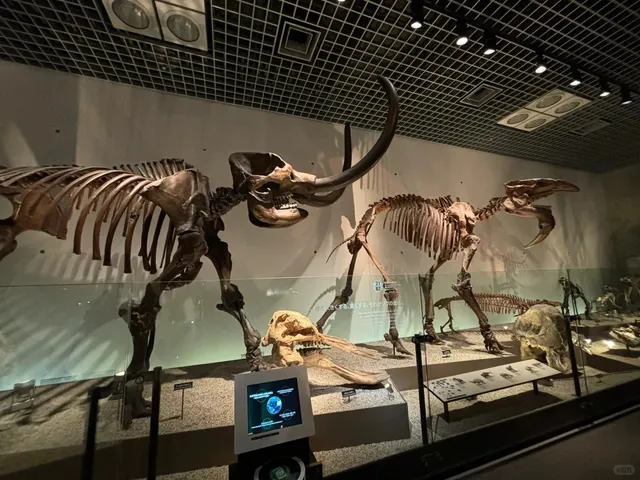 National Museum of Nature and Science | Earth Gallery