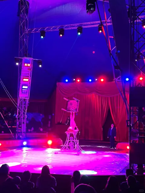 Turin Circus | Circo Orfei: Where to Go for the Weekend