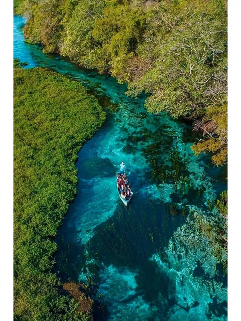 Brazil Travel | Rio Sucuri 🤿