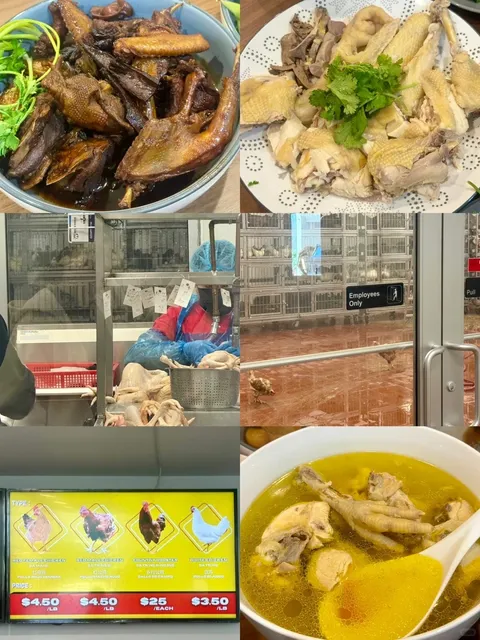 Where to Buy Freshly Slaughtered Chickens & Pigeons 🐓🕊️ 