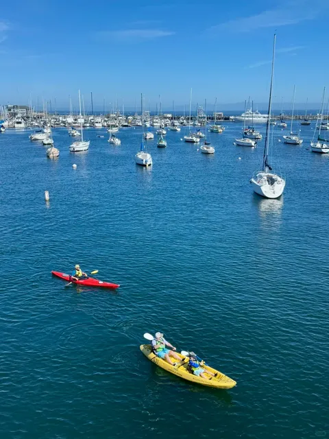  🇺🇸 Pacific Coast Highway 🛣️｜Gorgeous Town: Monterey 🌊