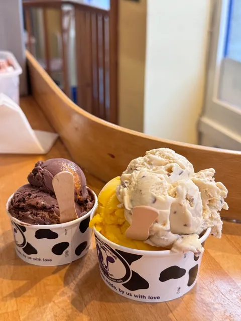  Oxford's Super Tasty Handmade Ice Cream 🍧