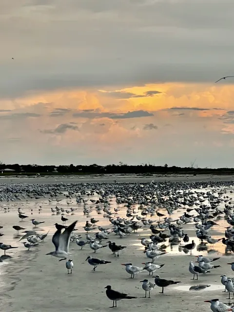 🌴 Tampa 5-Day Trip Guide