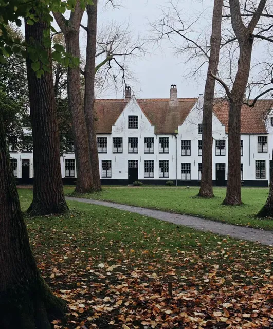 Bruges, a city that is both niche and bustling.