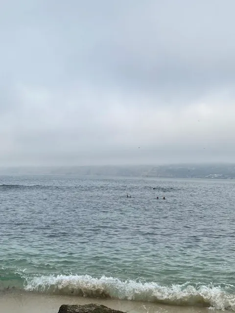 🇺🇸 San Diego | La Jolla Cove: Where Nature Meets Magic!