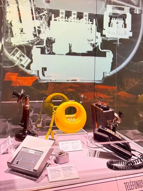 Chicago Exclusive Exhibit | Seeing the World Through X-Ray Vision 🔍✨