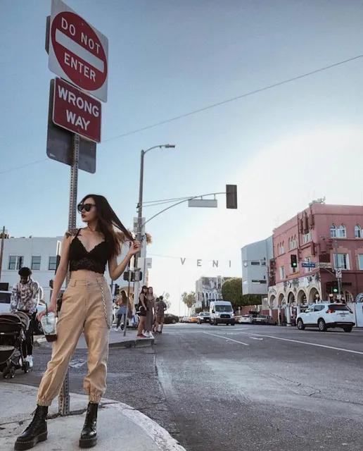 Venice  beach  haif day trip