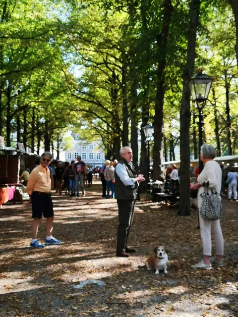 🇳🇱 The Ultimate Guide to the Netherlands' 6 Best Flea Markets