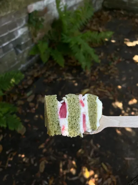 🇬🇧 Hampstead Heath: London's Natural Air Conditioner! 🌳🌞