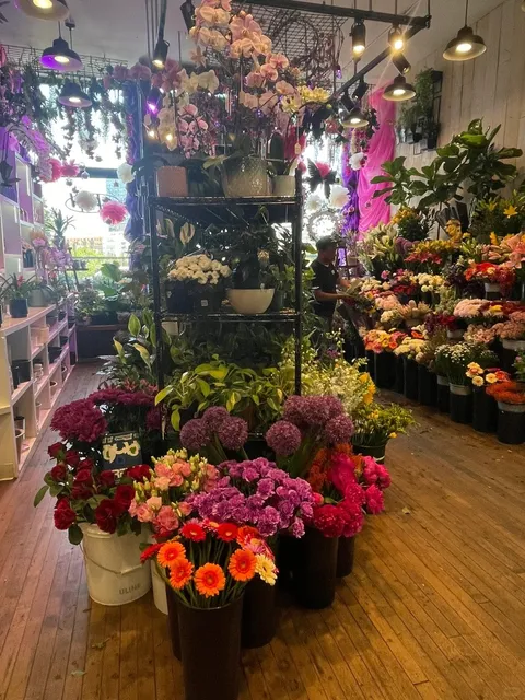 Chicago Flower Shop 💐 | Steve's Flower Market