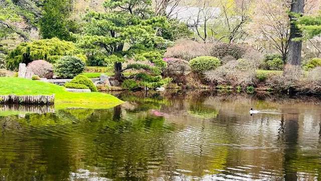 Acadia National Park