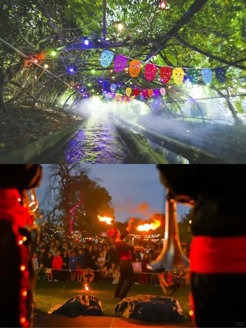 Halloween: Immersive Experience of the Mexican Day of the Dead! 🎭💀