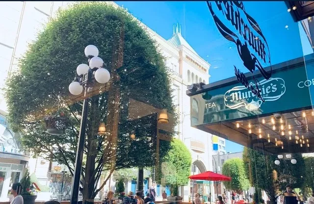 Victoria's Sweetest Escape: Murchie's Tea & Coffee 🍰✨