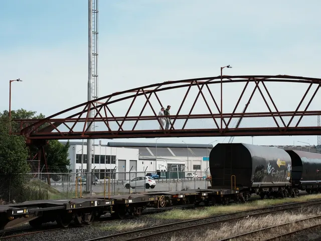 🏰 Dunedin Must-Visit