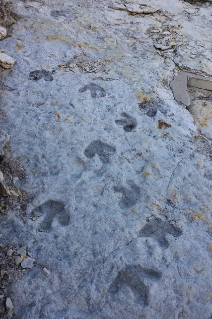 Denver | Mile-High City Free Attractions