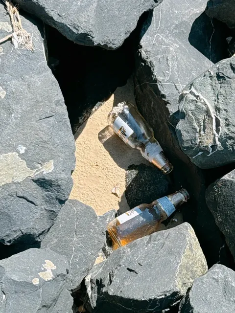 🌊 Checked in at Cole Park in Corpus Christi 