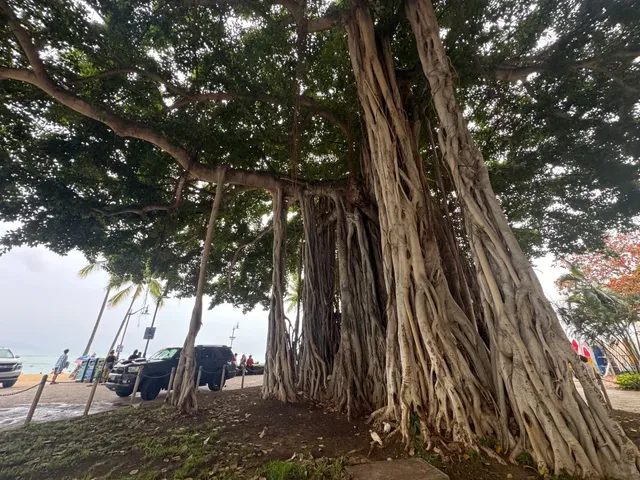  “If You Only Have One Week—Don’t Pick Hawai‘i” 