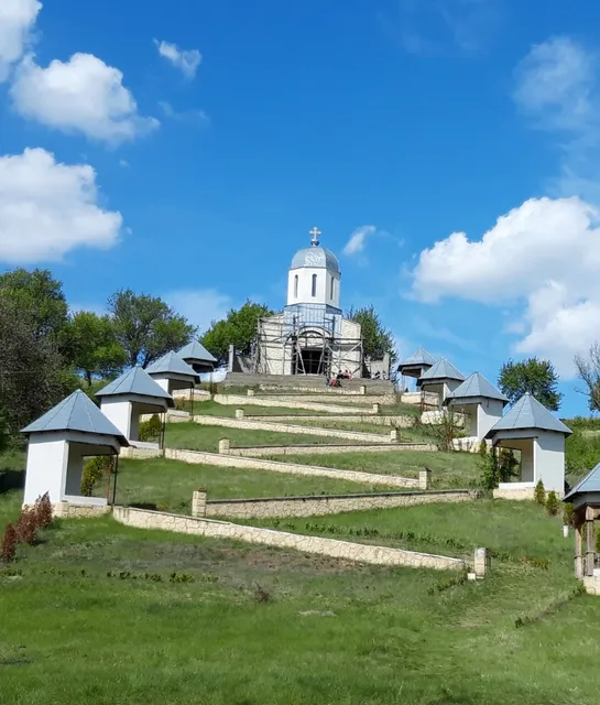 🌿  Exploring the Carpathian Backyard & Danube Delta