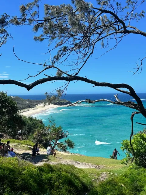 Brisbane Surroundings | Car-Free North Island Day Trip Guide 🏝️​