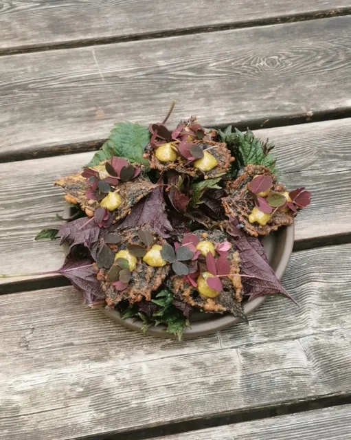 Michelin Restaurants in Aarhus