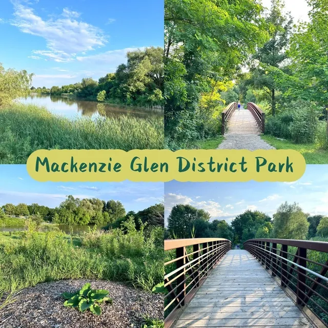 🇨🇦 🌿 Urban Forest Therapy Escape ✨