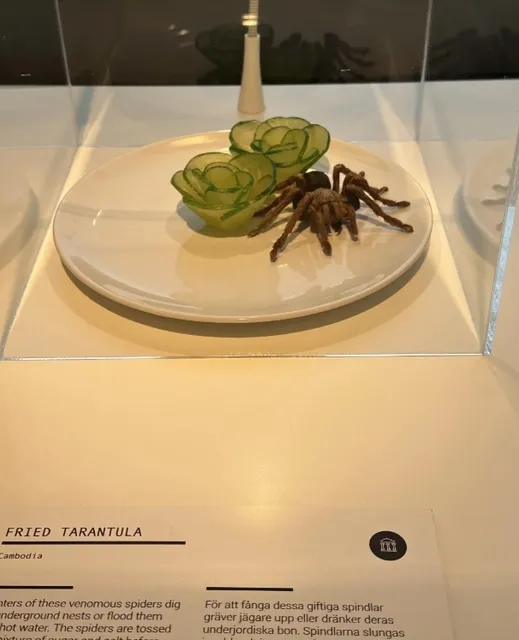 🇸🇪 Malmö | Disgusting Food Museum