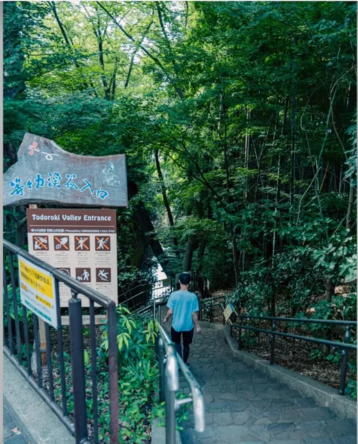🌿 Todoroki Valley in Tokyo ❣️