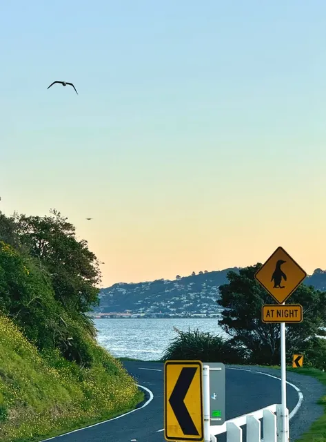 Wellington: The Portland of the Southern Hemisphere?