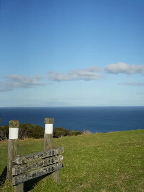 🇳🇿 I Declare This Auckland's Most Stunning Hike!