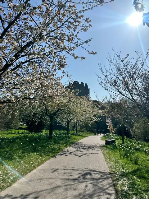 🇮🇪 Blarney Castle Day Trip | Ireland's Hidden Gem! ✨🏰