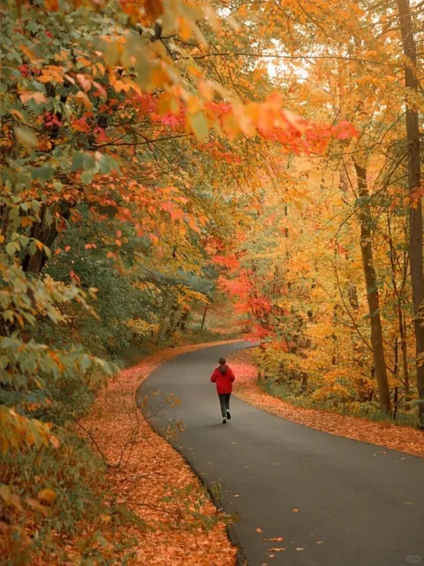 🍂 This is what New York looks like next... 🏜️