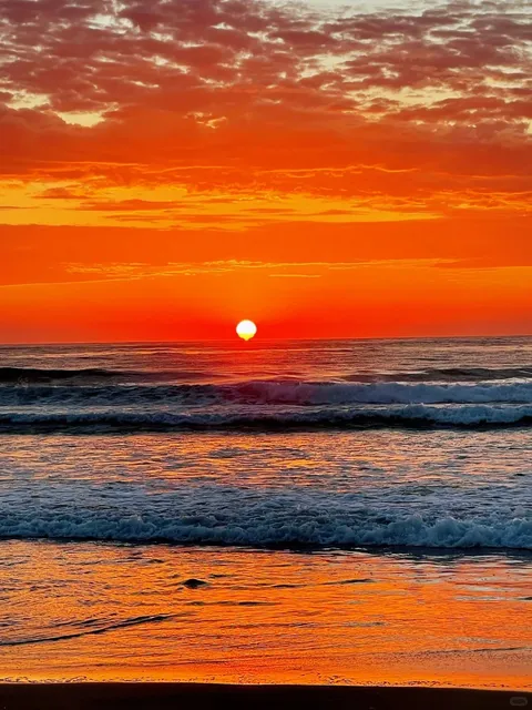 Coffs Harbour Travel Guide！🌊🌿